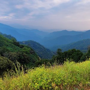 A Call of the Mountains! Article 2: Western Ghats: India’s Natural Treasure
