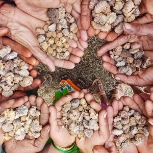 A seed to sustainability!